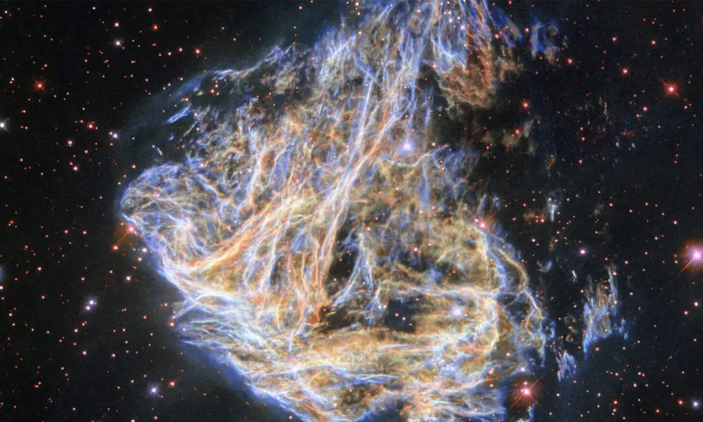 El campo energético